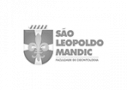 Logo Escola São Leopoldo Mandic