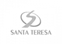 Logo Instituto Santa Teresa