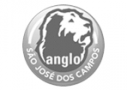 Logo Anglo Cassiano Ricardo