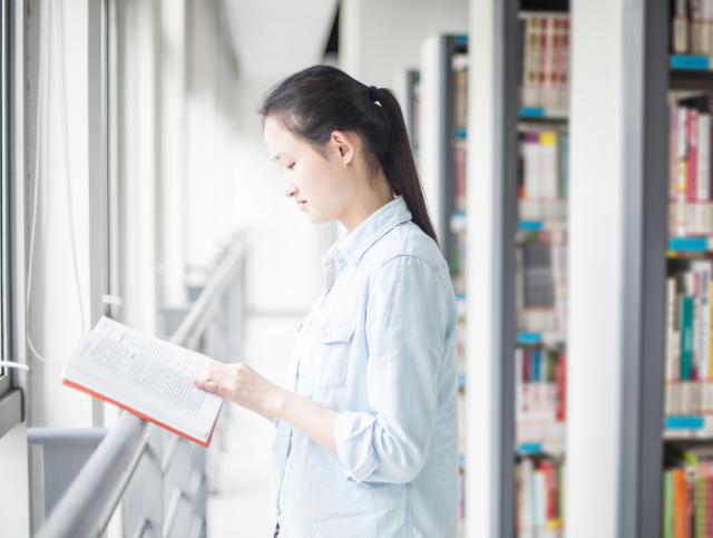 Bibliotecário escolar