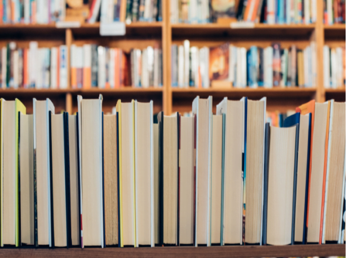 gestão de biblioteca escolar