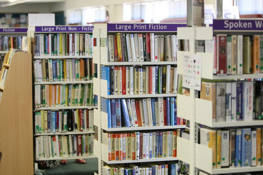 como organizar uma biblioteca escolar