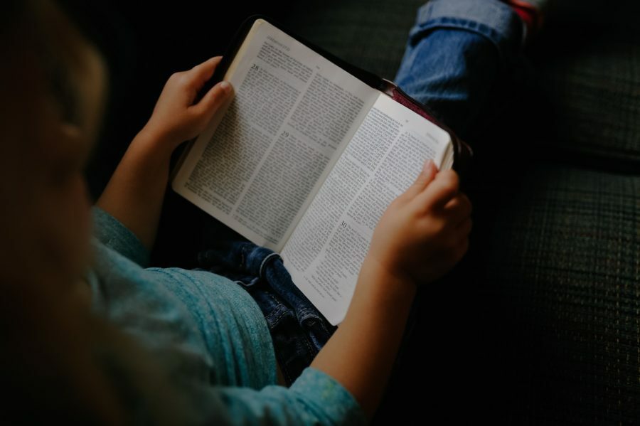 incentivo à leitura